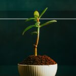 imgi 9 starting a business and developing small business ideas